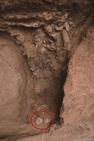 Image related to Not Just China's BBQ Capital: Also the Northernmost Tea-Producing Province!