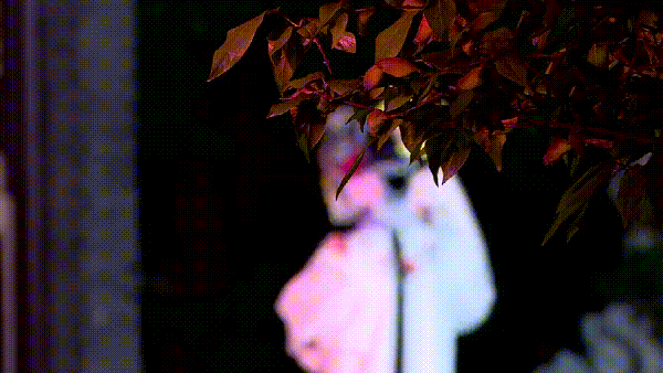 Image related to Taizhou: Jiangsu's Most Relaxing City – The Perfect Getaway When You Need a Break