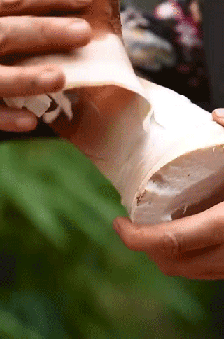 Image related to China's Spring Delicacy: Even More Delicious Than Meat!