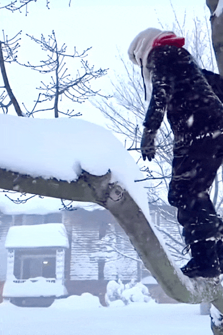 Image related to This Shandong "Snow Hub" Rivals Northeast China, Trending Year After Year!