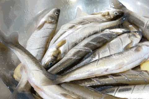 Image related to How Northeastern Chinese Master Fish Cuisine: A Revelation to Southerners