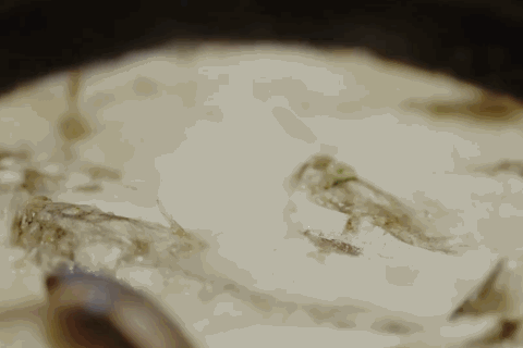 Image related to How Northeastern Chinese Master Fish Cuisine: A Revelation to Southerners