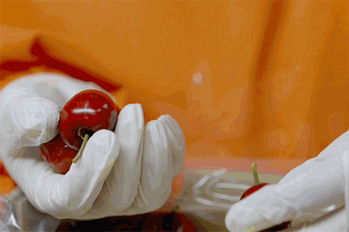 Image related to China's Fruit Lovers' Ultimate Year-End Ranking: Which Tops the List?