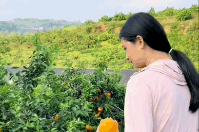Image related to China's Fruit Lovers' Ultimate Year-End Ranking: Which Tops the List?