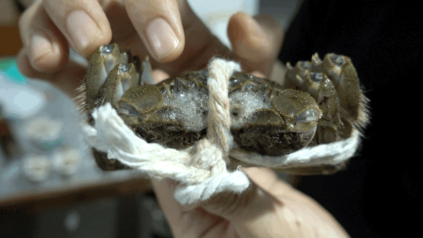 Image related to How Amazing Is Jiangsu's Crab Farming Industry?