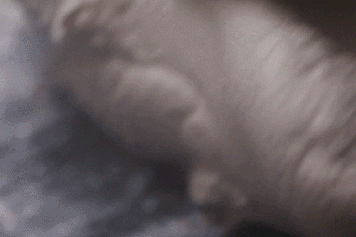 Image related to How Spectacular Has Milk's Journey in China Been?