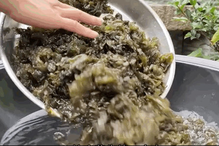 Image related to Gansu Noodles Go Green!