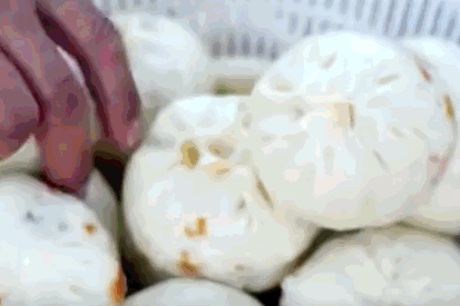 Image related to Gansu Noodles Go Green!