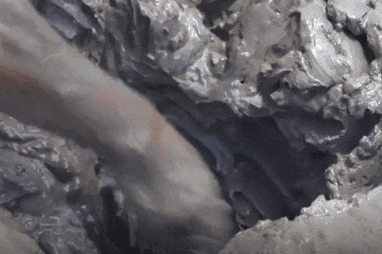 Image related to The Hierarchy of Chinese Seafood Consumption: How Did This Province Rise to the Top?