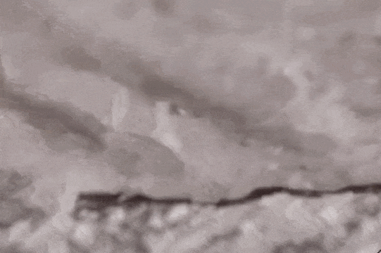 Image related to The Hierarchy of Chinese Seafood Consumption: How Did This Province Rise to the Top?