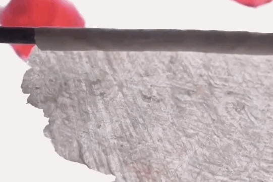 Image related to The Hierarchy of Chinese Seafood Consumption: How Did This Province Rise to the Top?