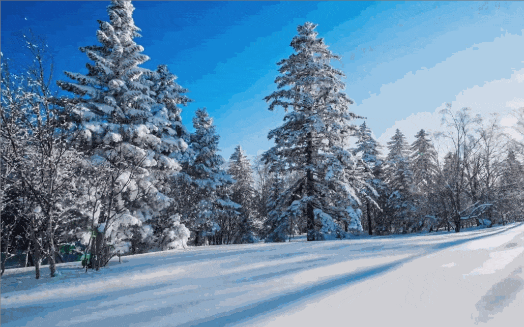 Image related to Changbai Mountain: What Makes It Northeast China's Number One Peak?