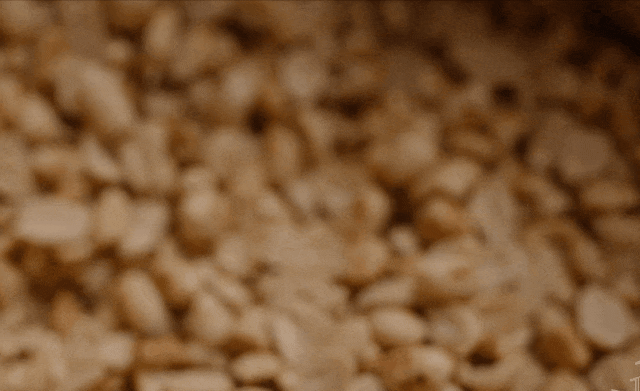 Image related to Without This Tiny Ingredient, 42 Million Fujianese Would Lose Their Appetite!