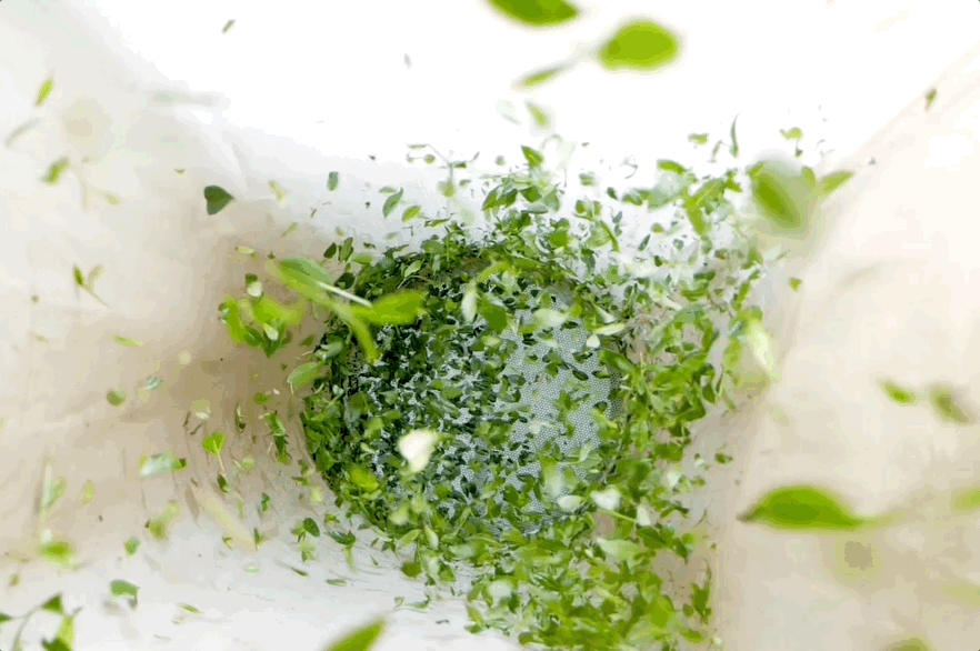 Image related to From Intangible Heritage to Global Matcha Powerhouse: How This Southwest Province Made It