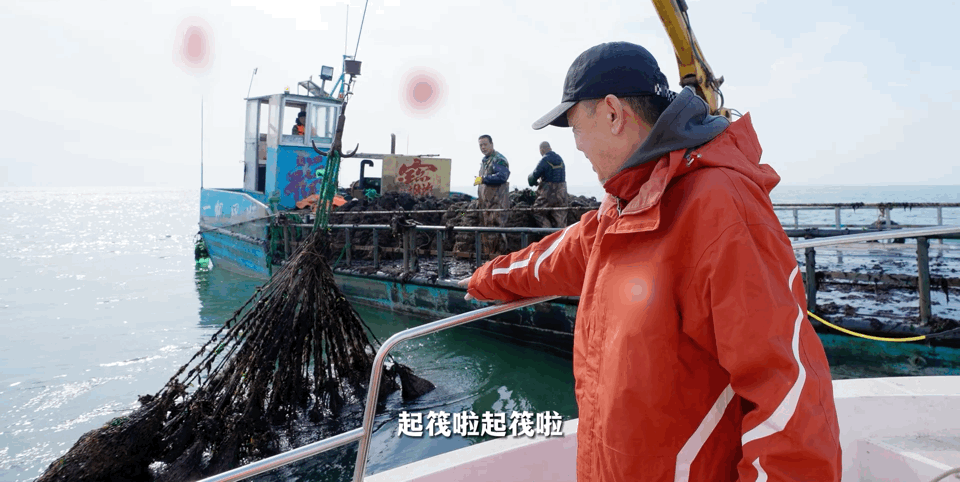 Image related to How This Unassuming Shandong Town Became an Oyster Powerhouse
