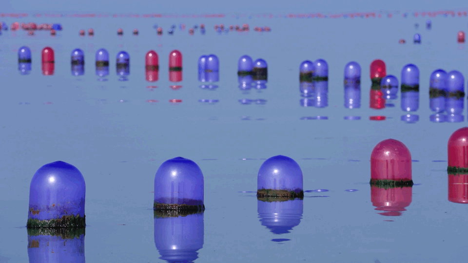 Image related to How This Unassuming Shandong Town Became an Oyster Powerhouse