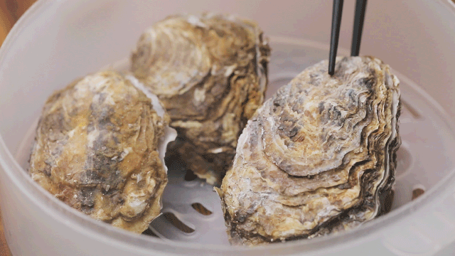 Image related to China's Top Seafood Province: How They're Dominating the Oyster Game