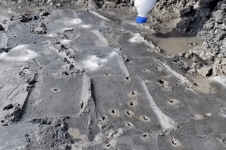 Image related to How This Small Shandong Town Devours the Rustiest Seafood