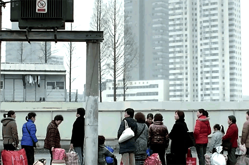 Image related to Why Is This Small Anhui City China's Top Spring Migration Hub?