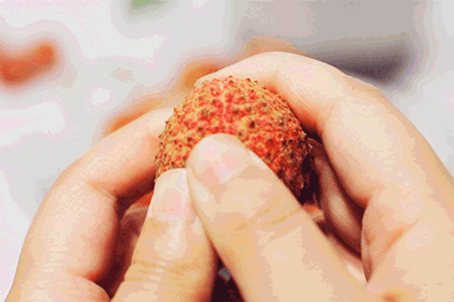 Image related to China's Most Underrated Lychee Province Safeguards This Year's Bountiful Harvest