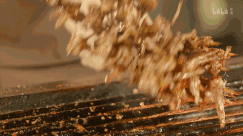 Image related to The First City on the Yangtze: How Does Its BBQ Outshine the Entire Southwest?