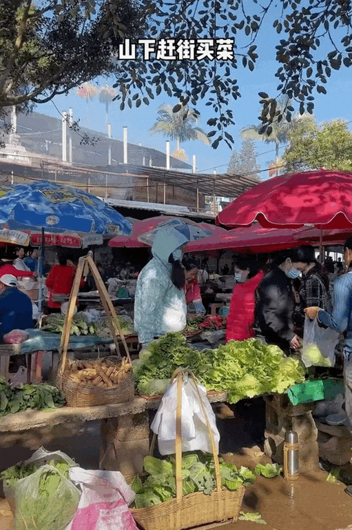 Image related to China's Wildest BBQ Province: Whole Pigs, Mushrooms, Even Insects—Nothing's Off the Grill!