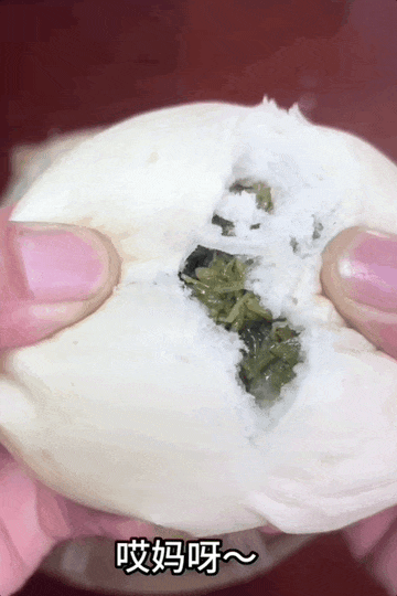 Image related to How Crazy Are Shandong-Style Baozi? Stuffed with Sea Cucumber, Abalone and Spare Ribs!