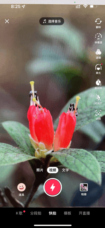 Image related to Yunnan, China: What Makes It the "World's Kingdom of Fresh Flowers"?
