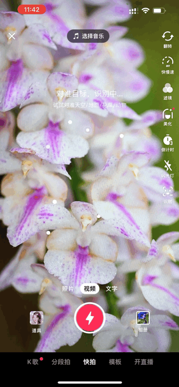 Image related to Yunnan, China: What Makes It the "World's Kingdom of Fresh Flowers"?