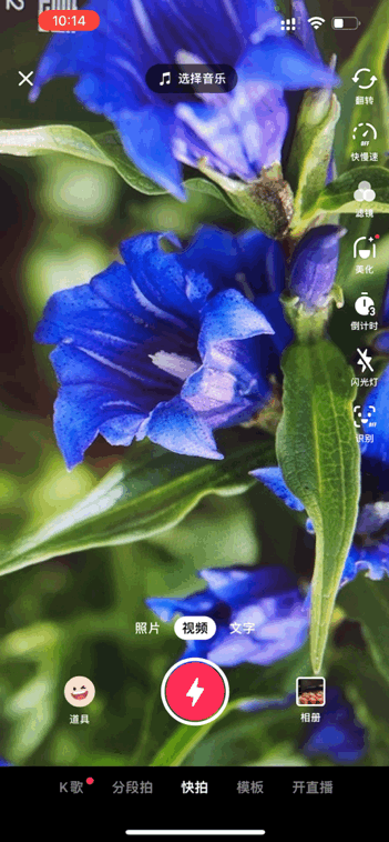 Image related to Yunnan, China: What Makes It the "World's Kingdom of Fresh Flowers"?