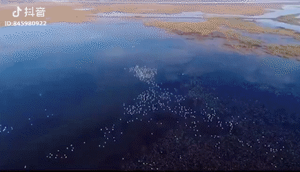 Image related to Is Jilin Worth Visiting?