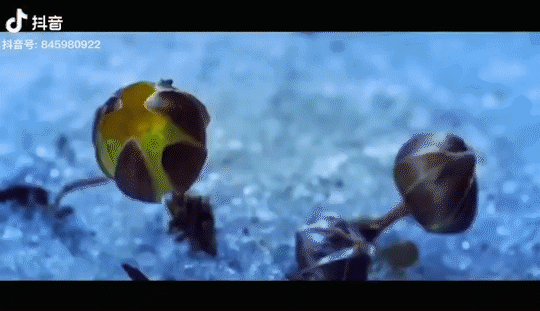 Image related to Is Jilin Worth Visiting?