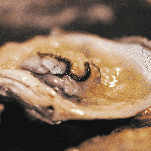Image related to Zhanjiang: The Hidden Foodie Paradise Where $70 Buys 3 Days of Feasting – Wild Flavors Outshine Chaoshan, Gaining 8 Pounds in a Week is Worth It!