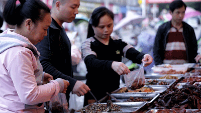 Image related to Fu'an: This Ancient Fujian Town Rivals Guangzhou in Food, Yet Has Fewer Than Half of Xiamen's Tourists