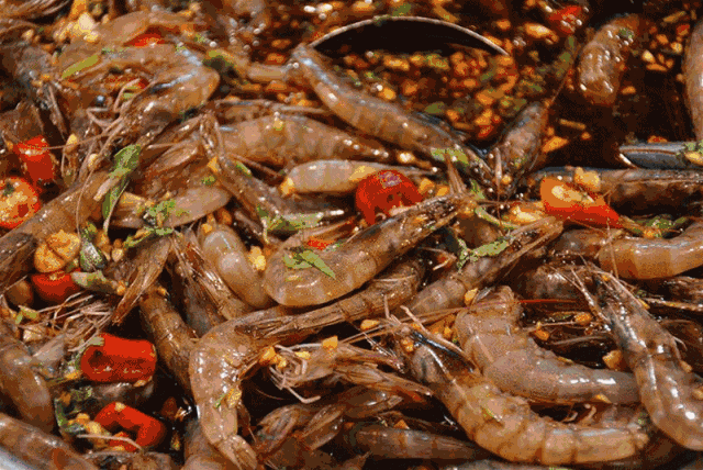 Image related to Zhanjiang: A Seafood Paradise That Will Blow Your Mind! Stunning Sea Views Rivaling Sanya + Mouthwatering Delights to Wow Your Feed – Worth the Trip for Food Alone