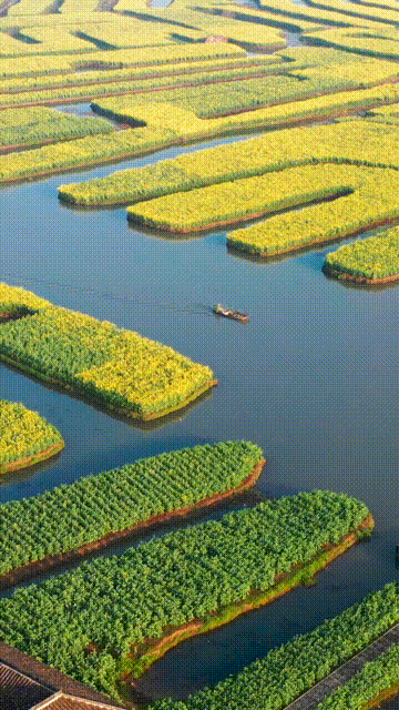 Image related to Taizhou: Jiangsu's Most Relaxing City – The Perfect Getaway When You Need a Break