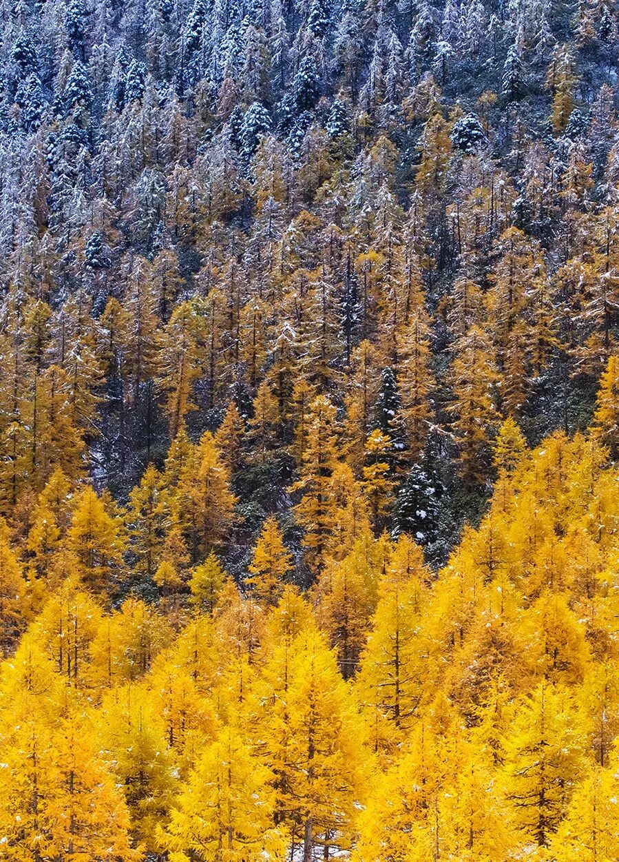 Image related to What is Yunnan?