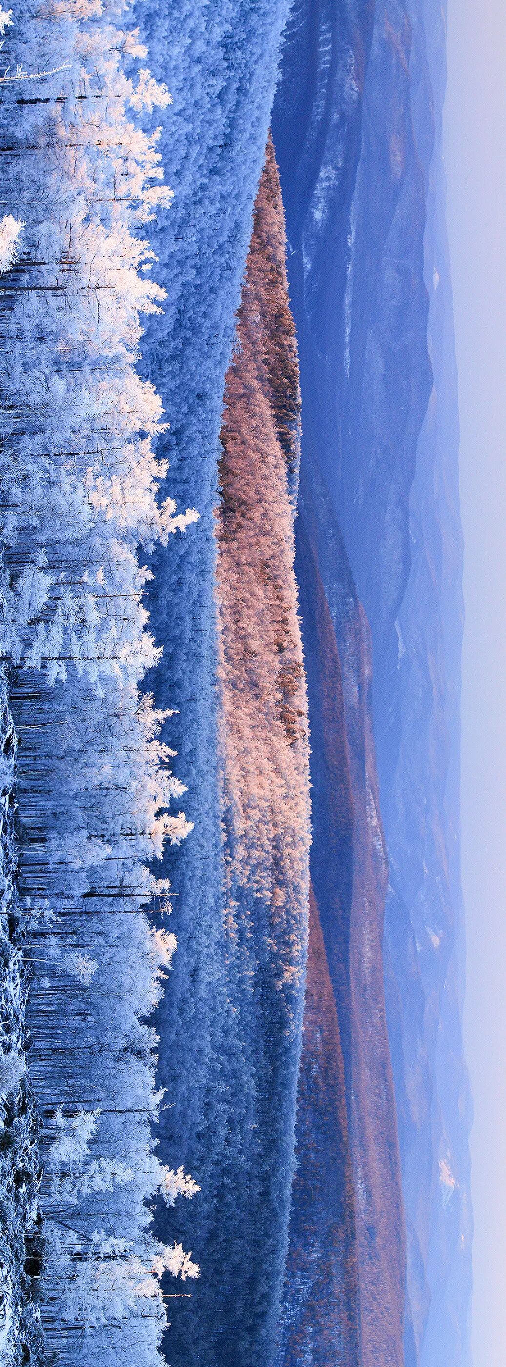 Image related to What Are the Key Differences Between Northern and Southern China?