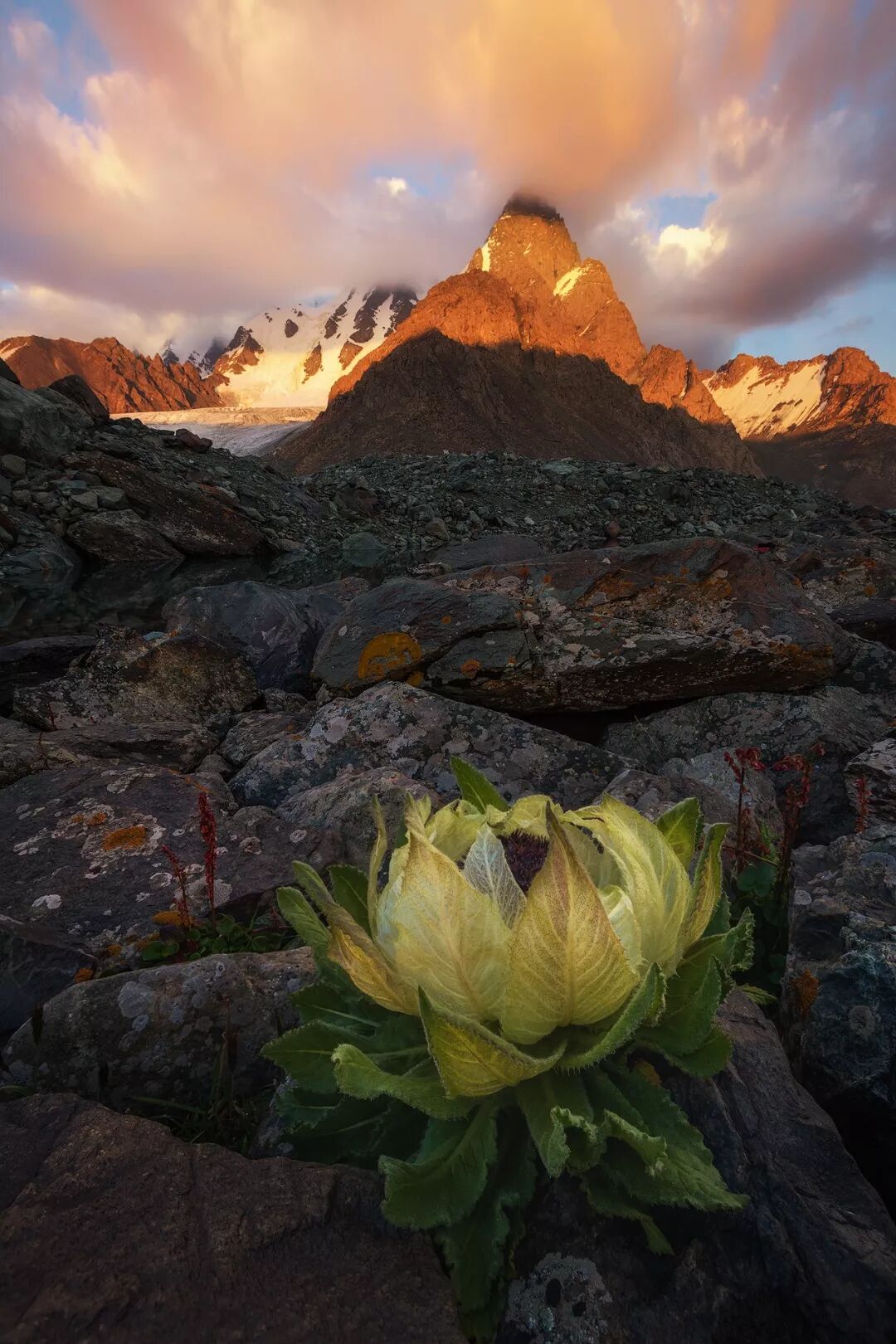 Image related to I Wanna Climb to the Sky... Mountain