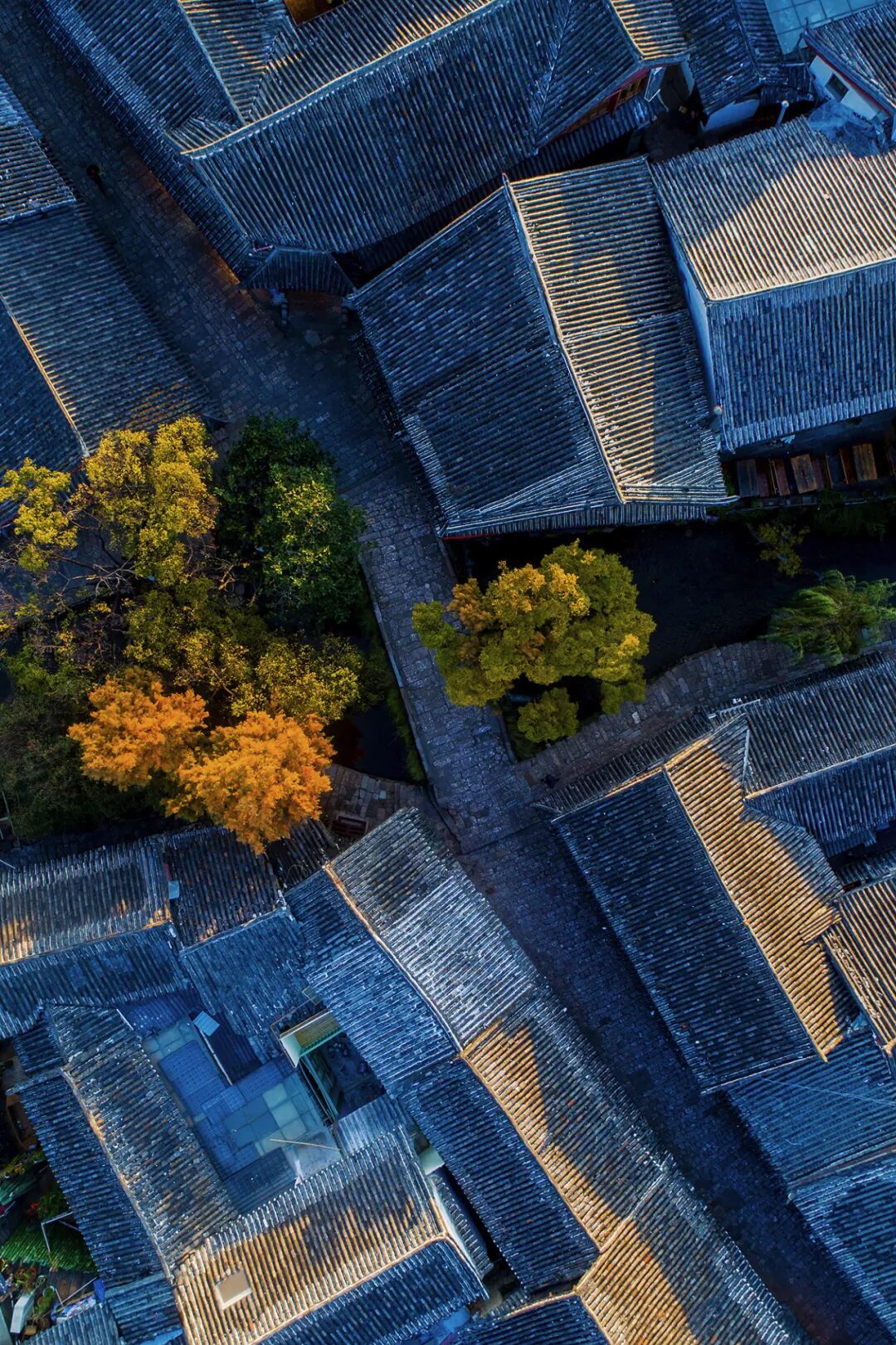 Image related to What Is Lijiang?
