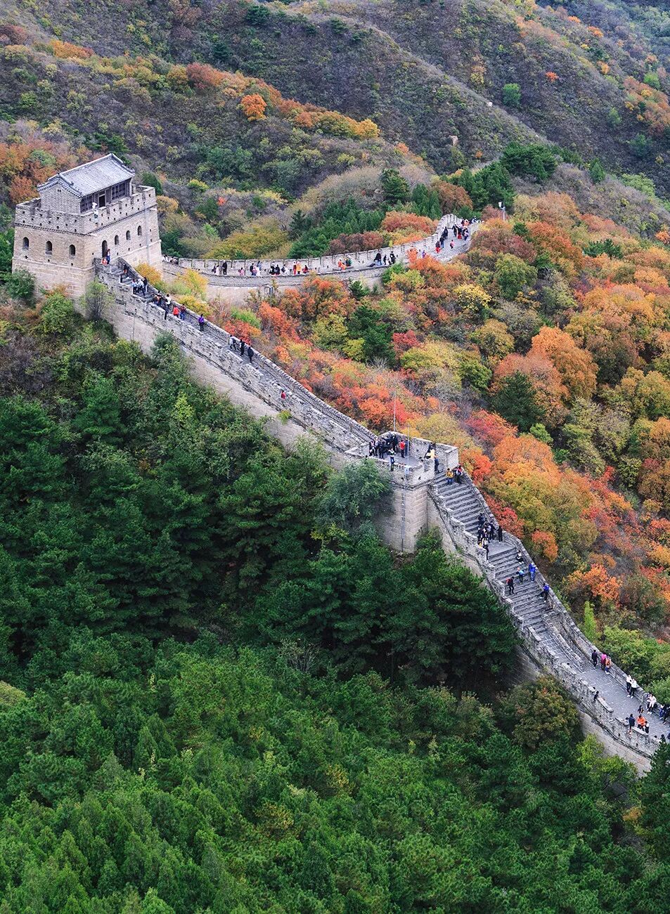 Image related to What Are the Key Differences Between Northern and Southern China?