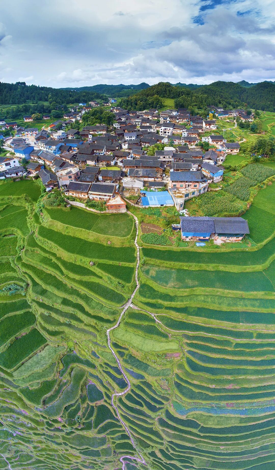 Image related to What Are the Key Differences Between Northern and Southern China?