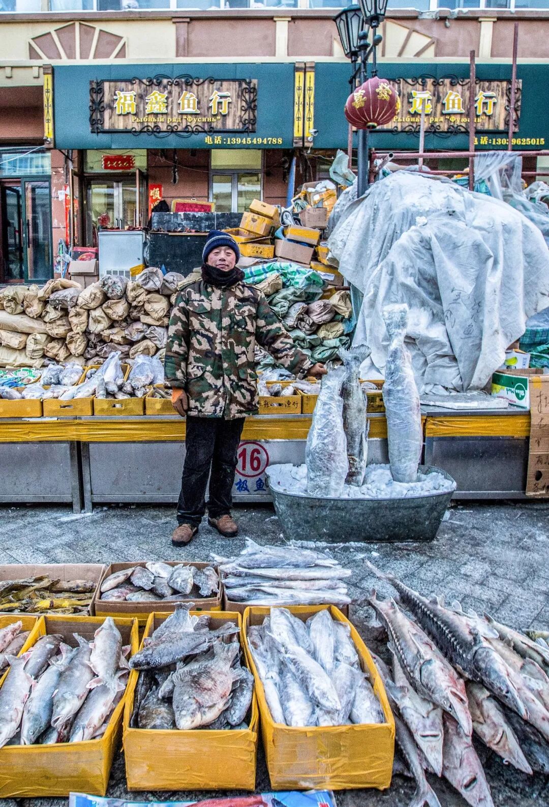 Image related to What Are the Key Differences Between Northern and Southern China?