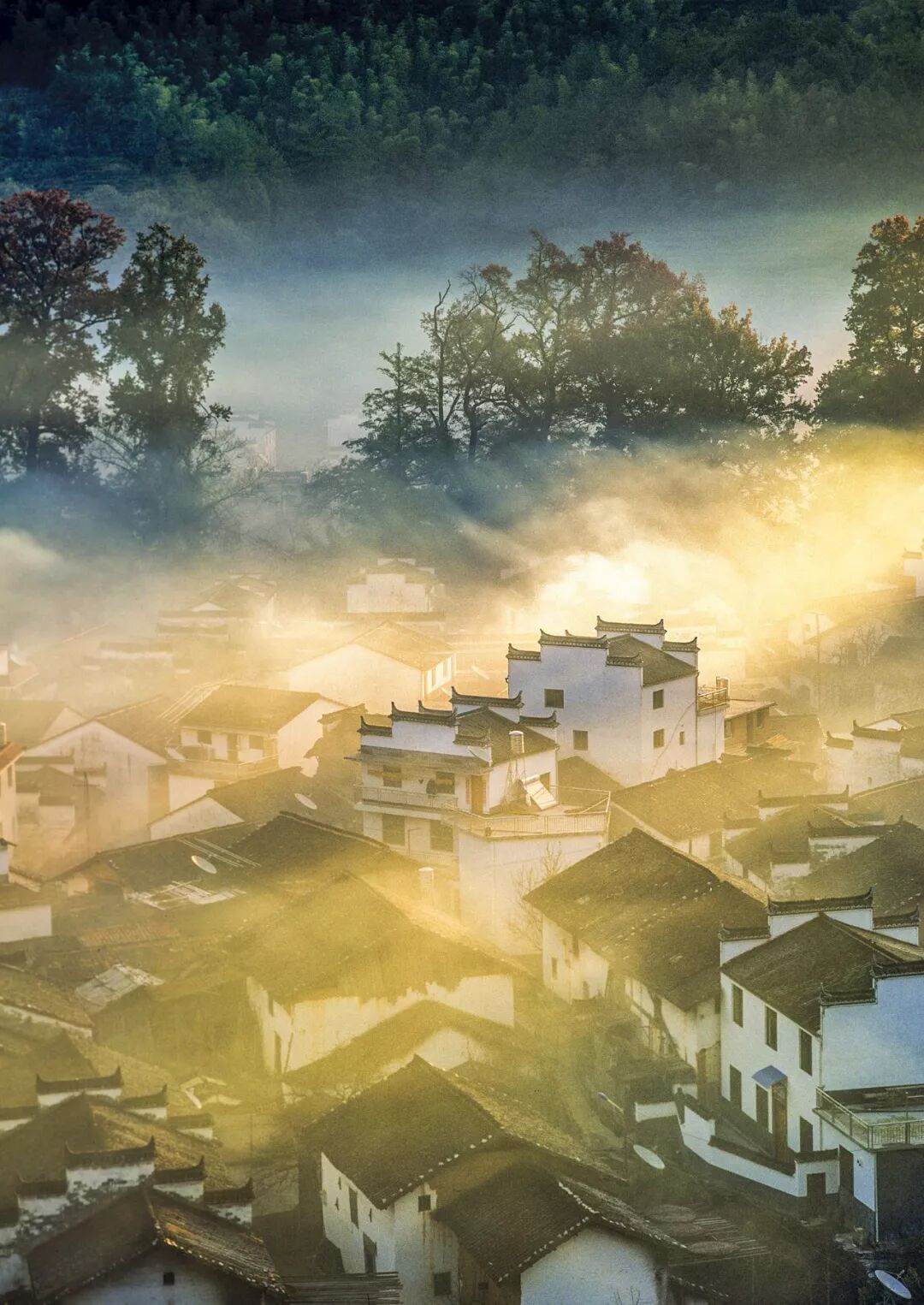 Image related to What Are the Key Differences Between Northern and Southern China?