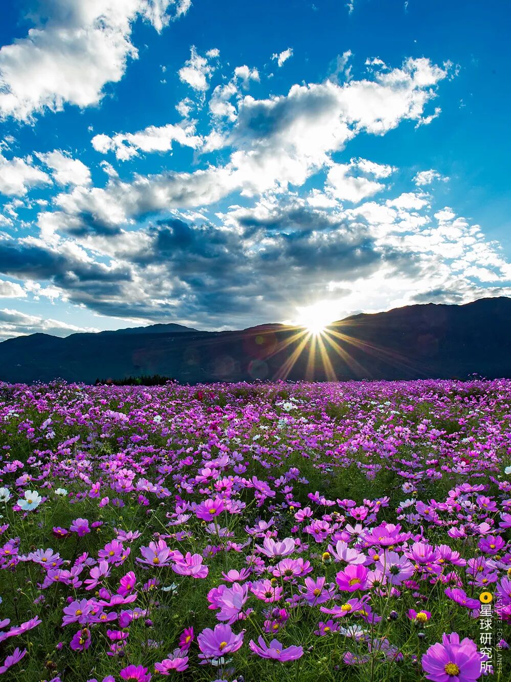 Image related to What to See in Lijiang