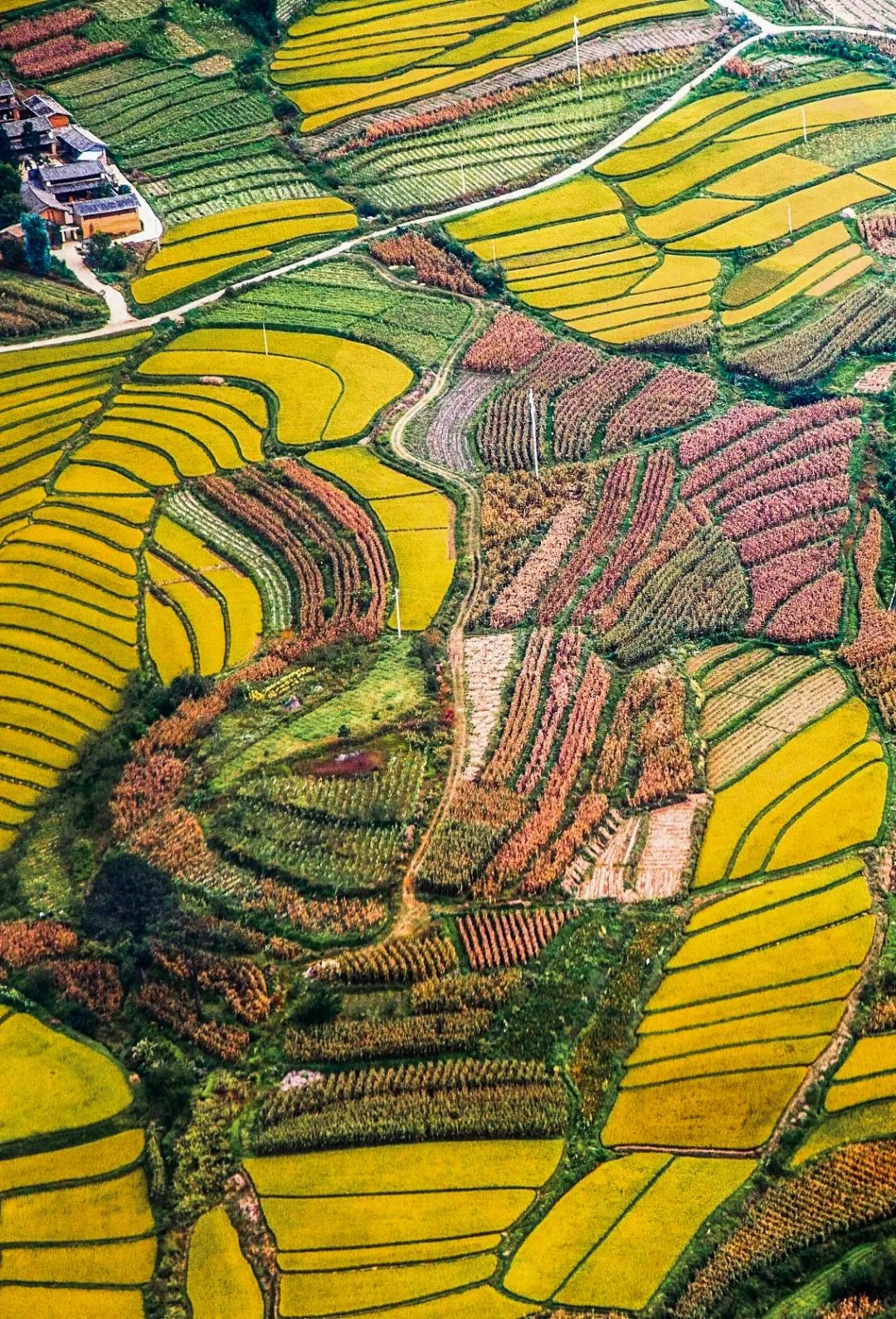 Image related to What to See in Lijiang