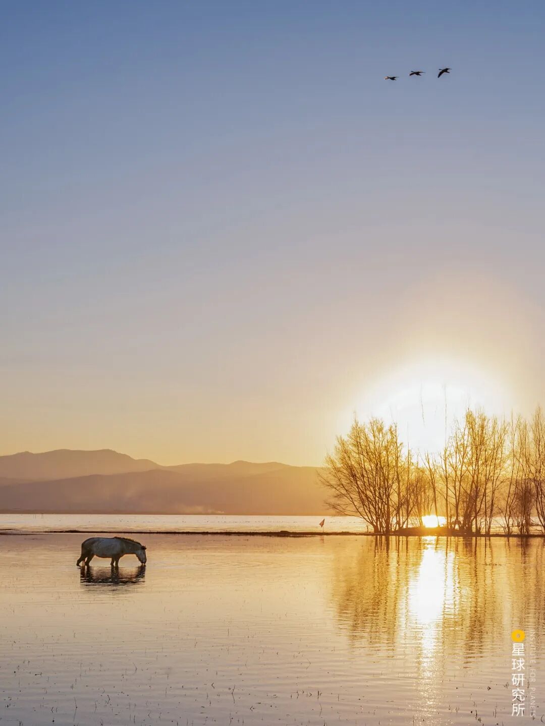 Image related to What to See in Lijiang