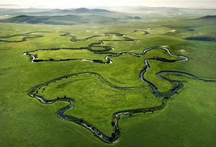 Image related to Who is the Top of China's Grasslands?