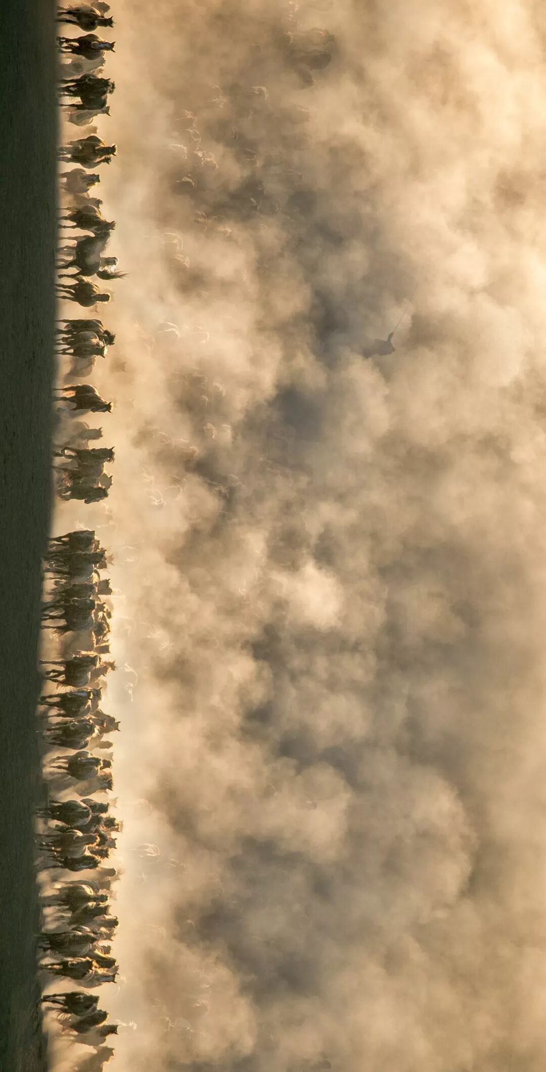 Image related to Who is the Top of China's Grasslands?