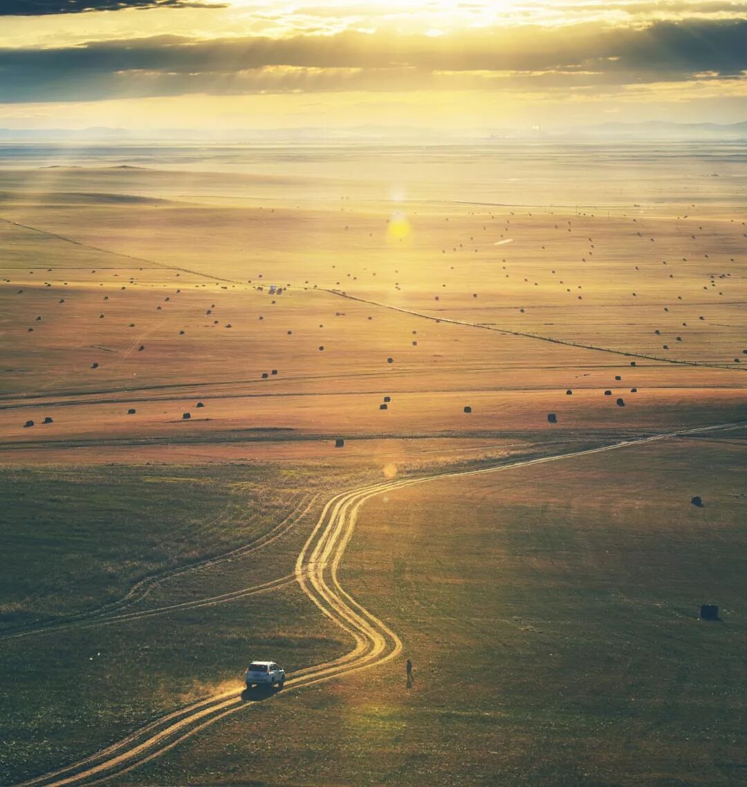 Image related to Who is the Top of China's Grasslands?